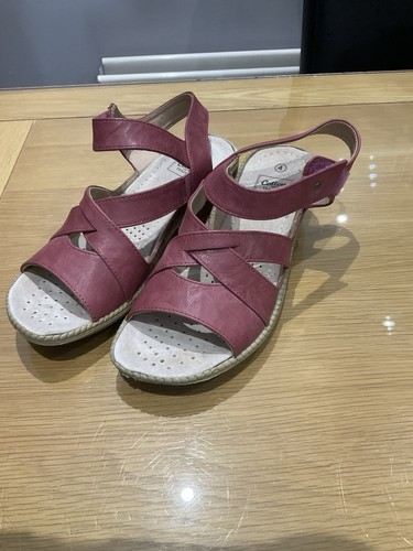 Cotton traders ladies size - cotton, uk