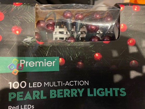 100 led pearl lights - 100,