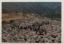 RICHARD LONG - Invitation Card - 2006