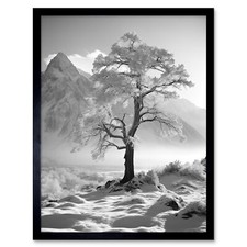 Frozen Tree in Snowy Mountain
