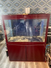 Cleair fish tank - fish, aquarium