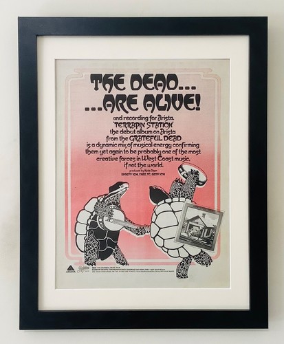 Grateful dead terrapin - grateful, dead+terrapin