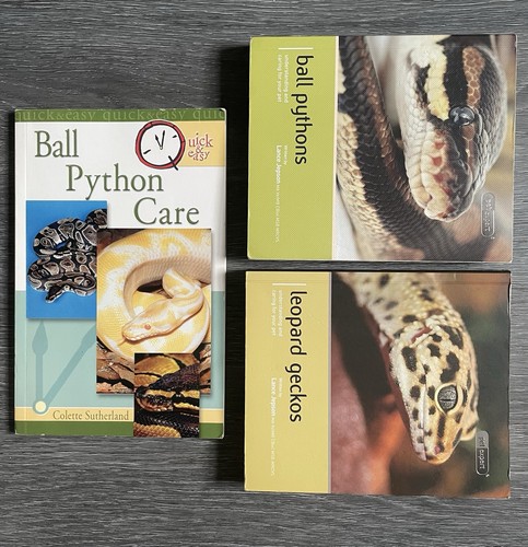 Ball python care leopard - ball,