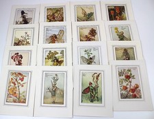 16 Flower Fairy Colour Prints