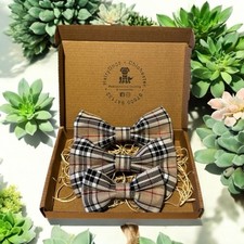 Special Order 2 Large And 1