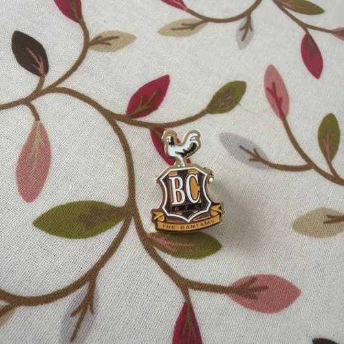 Bradford city pin badge - city,