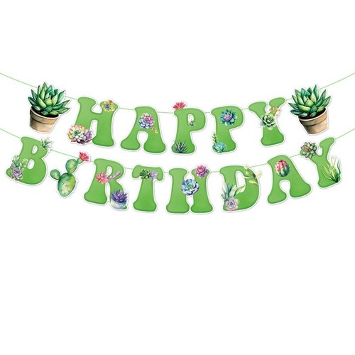 Pot plant bunting cactus - plant,