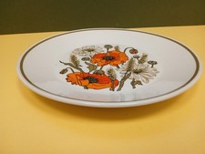 J & G Meakin Red Poppy Dinner