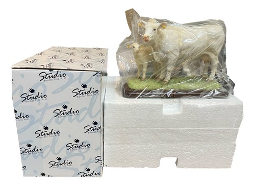 Border fine arts - charolais, cow