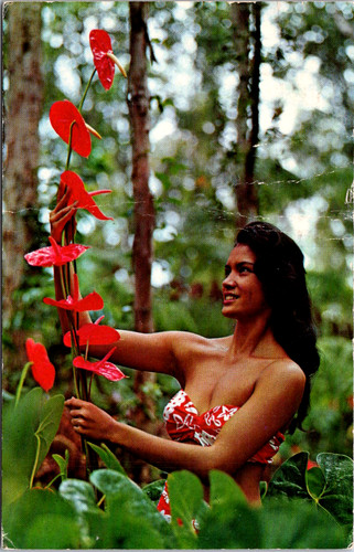 Vintage postcard hawaiian - vintage,