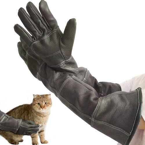 Animal handling gloves leather - handling,
