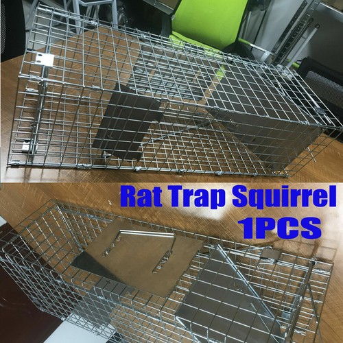 Squirrel trap heavy - trap, duty