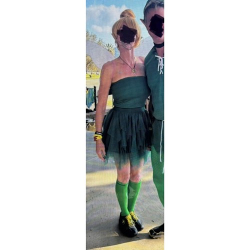Complete tinker bell costume - tinker,