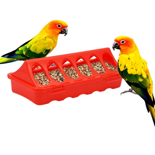 Chicken feed trough - chicken,