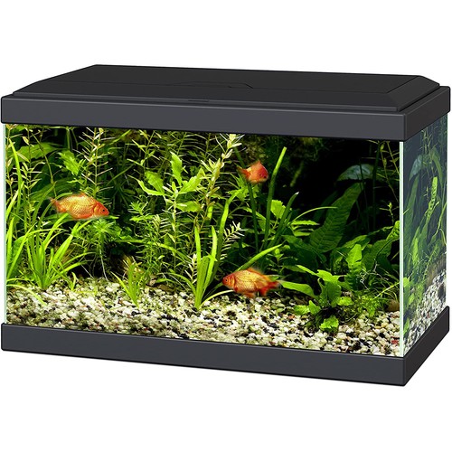 Ciano aqua aquarium - ciano, 30