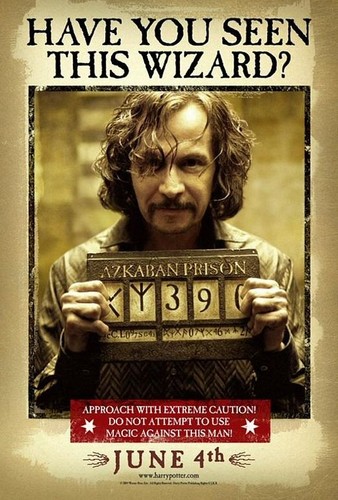 Harry potter and the - potter,