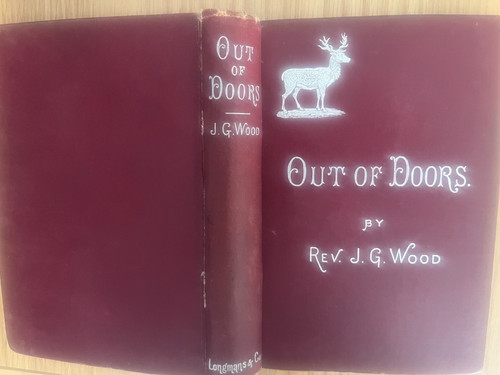 Rev wood out of doors - wood,