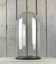 Large Glass Dome Cover Cloche