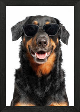 Cool Beauceron Dog Wearing Sunglass Framed Wall Art Poster Canvas Print Picture
