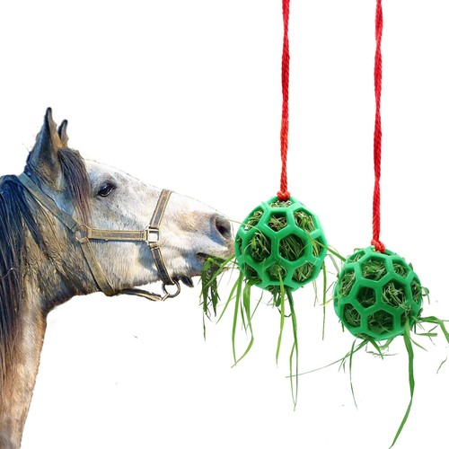 Pack horse treat - 2, hay
