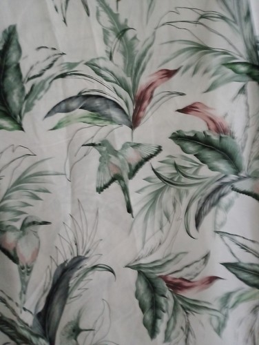 Lovely birds paradise - lovely,