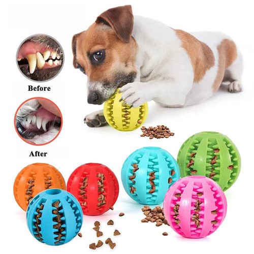 Puppy toys dog - puppy, food