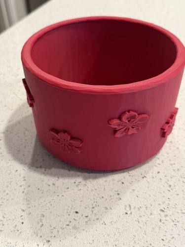 Raspberry cherry blossom