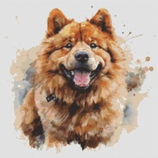 Chow Chow Puppy Dog