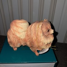 Dog Studies Leonardo