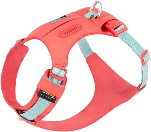 Dog harness pocket - harness,