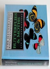 The Illustrated Encyclopedia of Butterflies and Moths By Dr Brian Turner,Dr V.