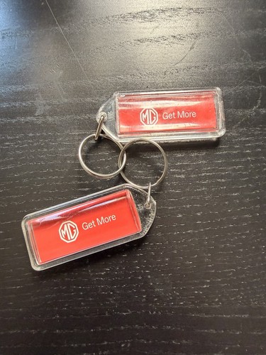 Main dealer keyring - main,