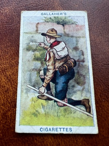 Gallaher cigarette card - gallaher, boy
