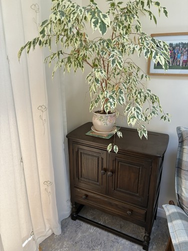 Ercol vintage old colonial - 'old, colonial'