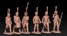 Wargaming Napoleonic French