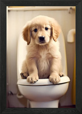 Golden Retriever Puppy WC