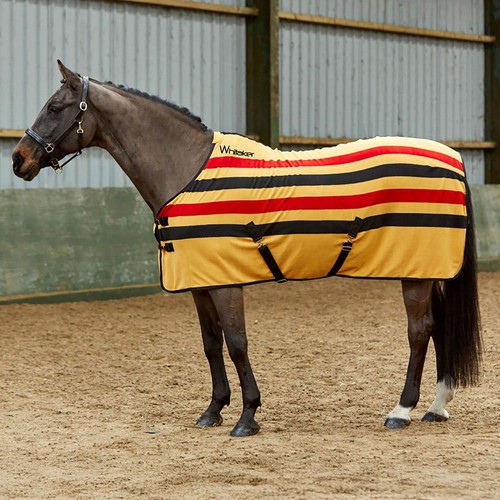Whitaker aintree fleece - fleece, stripe