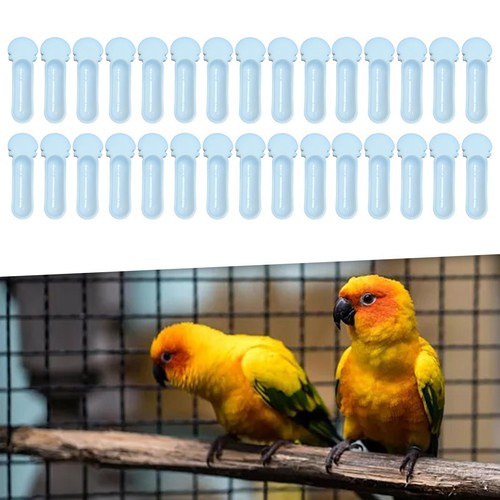 Bird cage feeder easy use - cage,