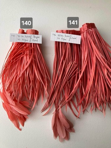 Feathers for millinery coque - feathers,