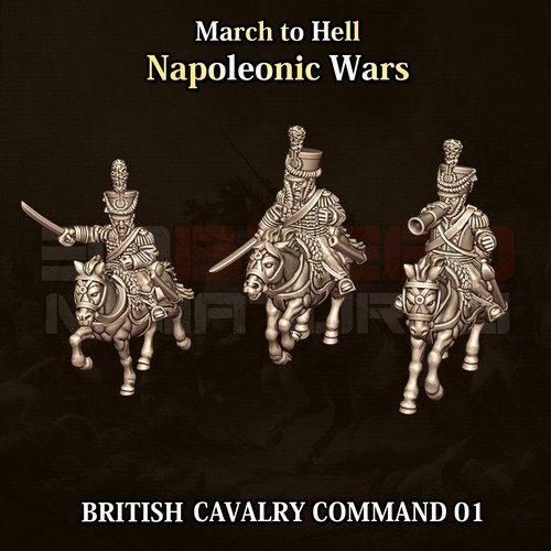 15mm british napoleonic - british, light