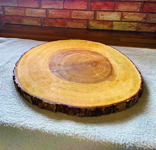Round wood trunk slice - wood,