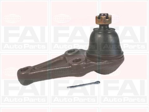 Fai front lower - lower, joint