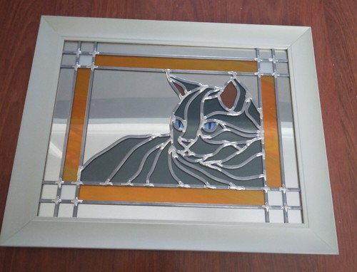 Cat leaded onto mirror hand - onto,