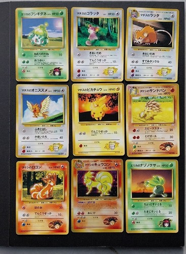 Pokemon gym leader - gym, leader's