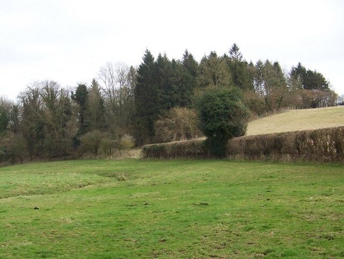 Photo 6x4 pasture - photo, land