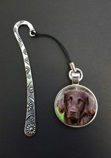 German Longhaired Pointer