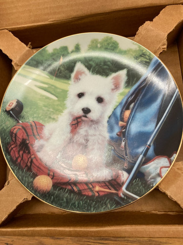 Porcelain plate westie - porcelain,