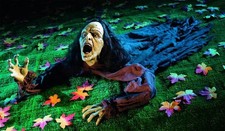 CRAWLING ZOMBIE - HALLOWEEN