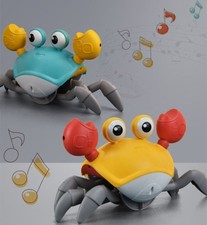 Baby Crawling Crab Musical