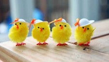 Easter chicks small medium - chicks,